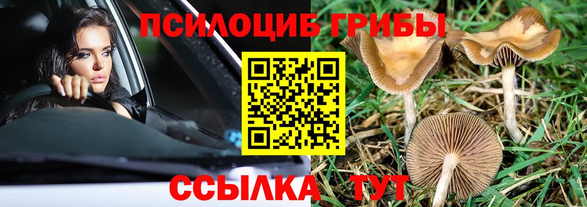 Губаха  Галлюциногенные грибы ЛСД  Вход с VPN 